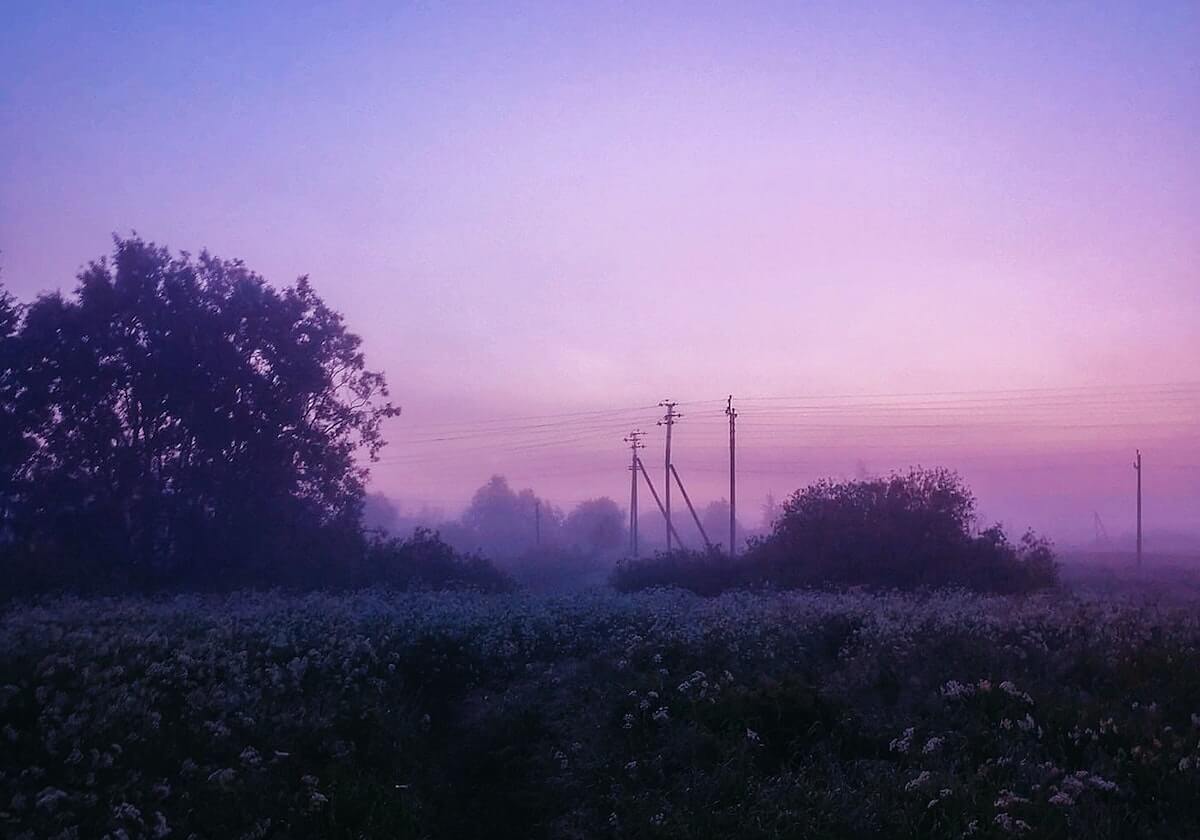 开云官网：云端生活的新入口